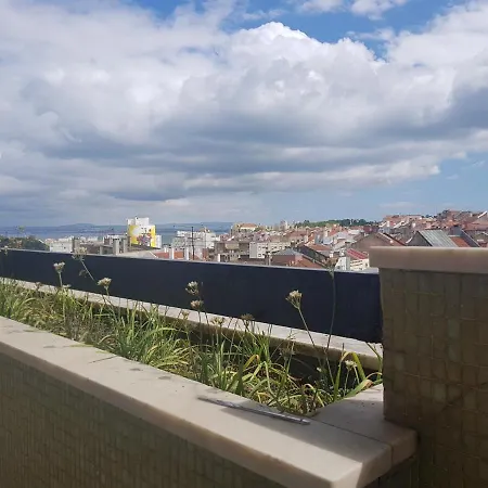 Olaias Signature Lissabon