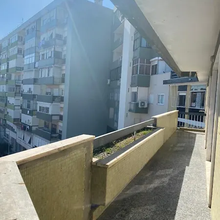 Olaias Signature Lissabon